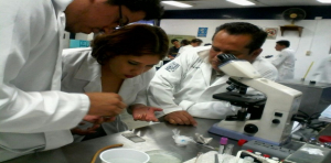 Laboratorios y Salones